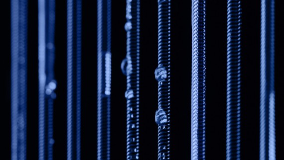 Wassertropfen gleiten gespannten Federn entlang (© Joan Minder) Wassertropfen gleiten gespannten Federn entlang (© Joan Minder)